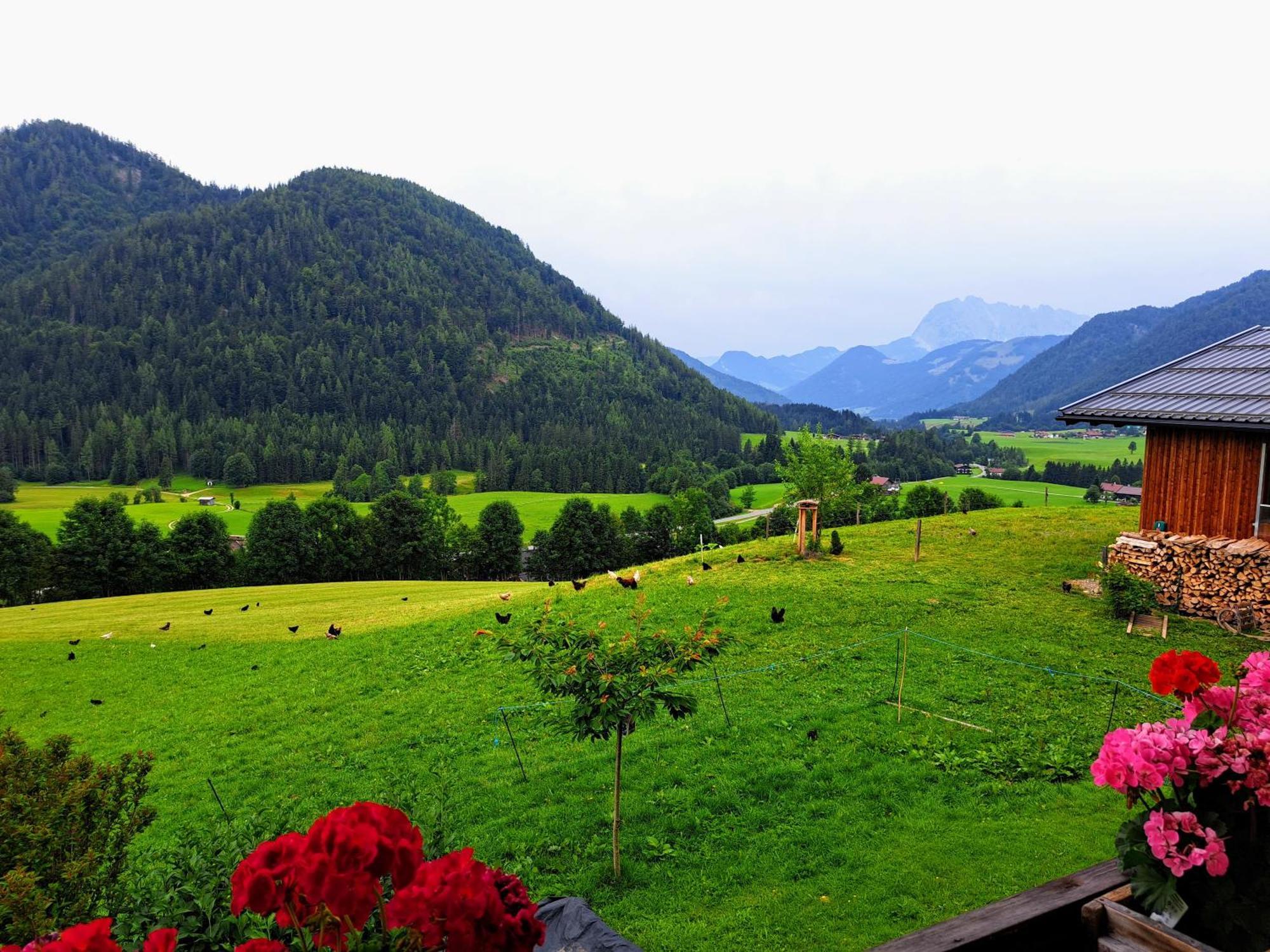 Farm stay Bommerhof