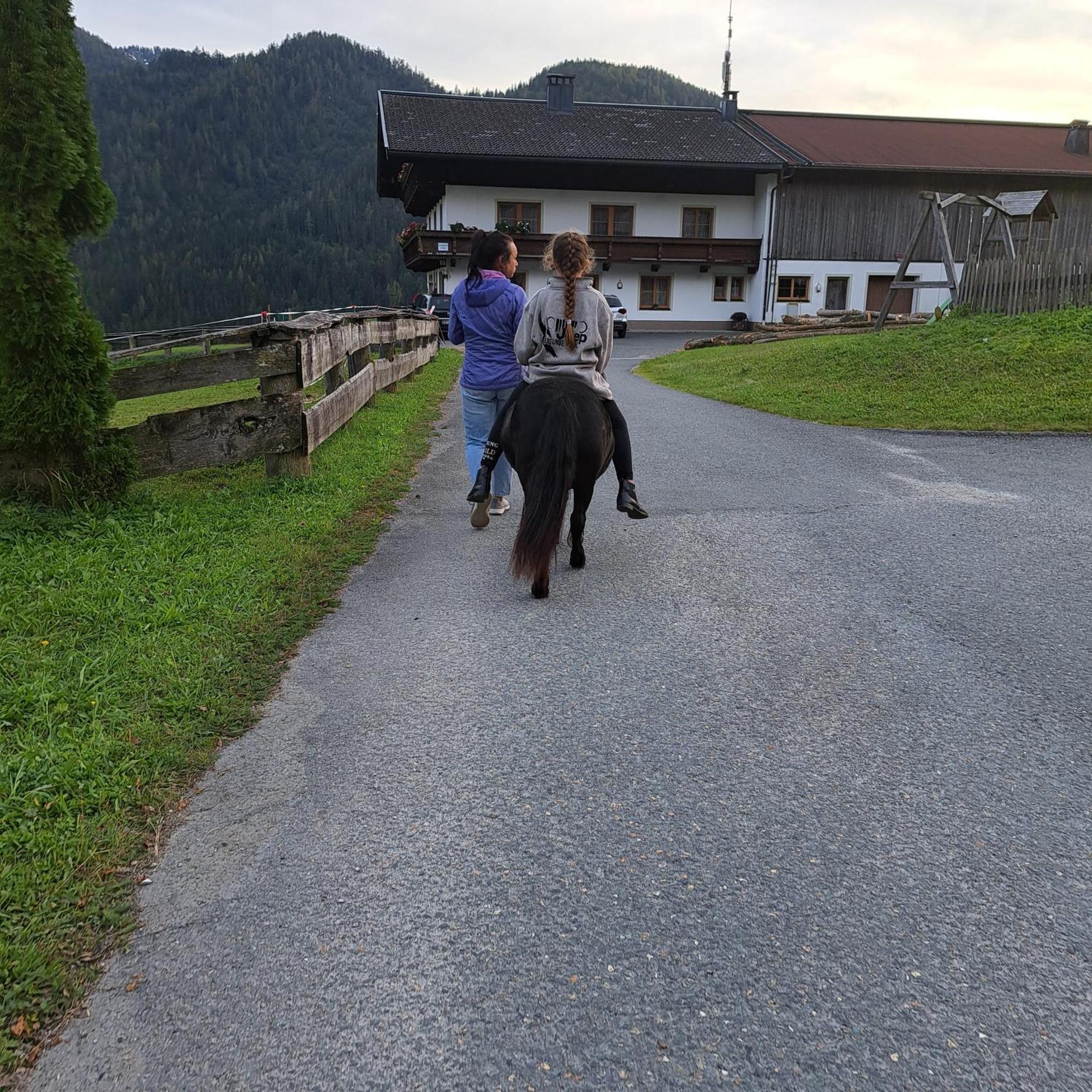 Farm stay Bommerhof