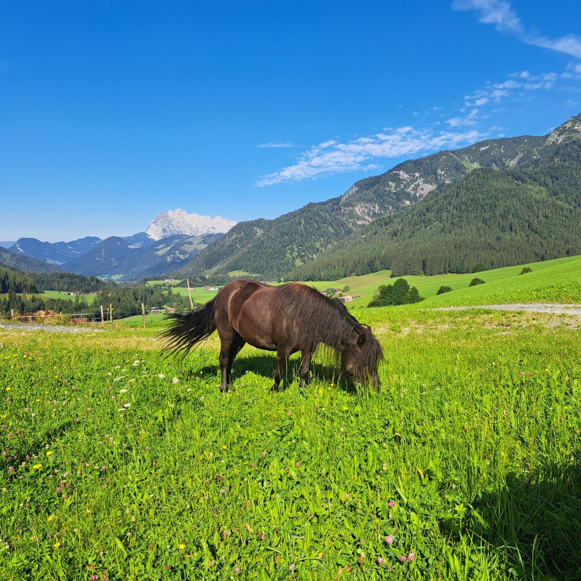 Farm stay Bommerhof *